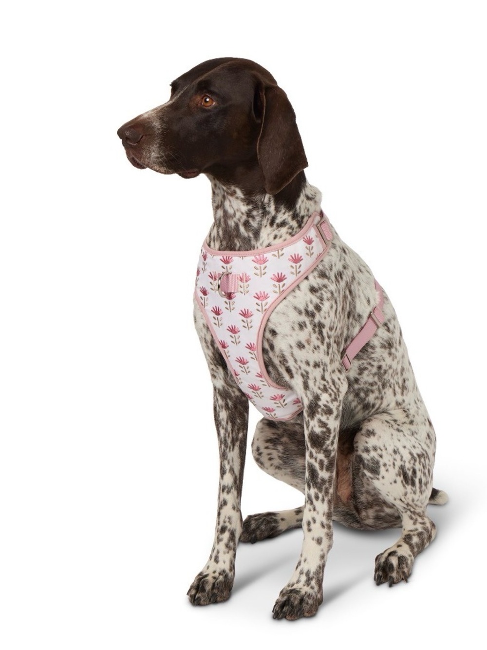 Top Paw Medium Pink Floral Dog Harness Adjustable Mesh D-Ring